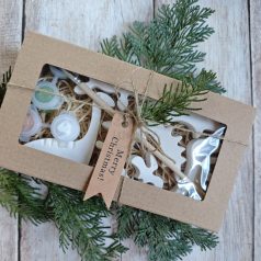  DIY BOX dino 